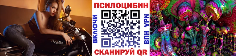 Псилоцибиновые грибы Psilocybe  Сальск 